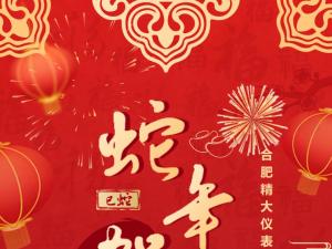 合肥精大儀表2025春節(jié)表彰暨聯(lián)歡會(huì)：回顧精彩，展望新程